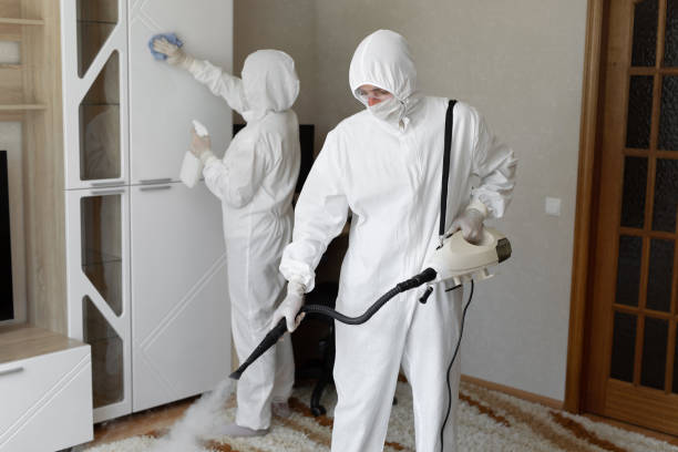 Best Mold Removal for HVAC Installations  in Oakley, UT